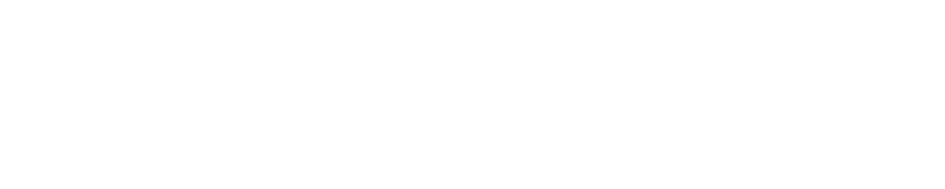 Zoviz